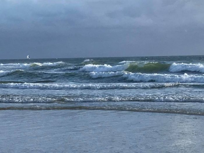 15895247_1146049868848619_5871635090048560768_n